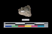 藏品(黃鐵礦)的圖片